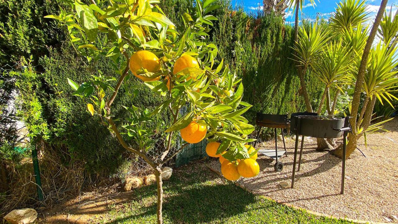 Villa El Palmar II 德尼亚 外观 照片